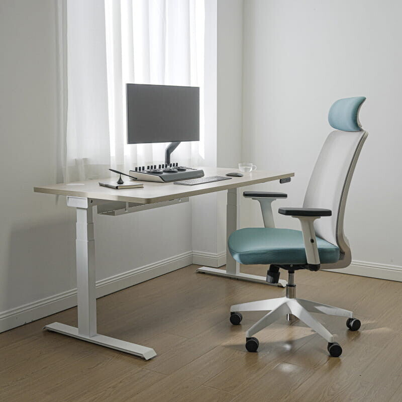 Ergonomic Chair with Lumbar Support