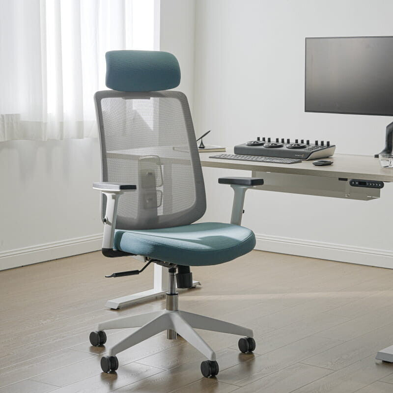 Ergonomic Chair with Lumbar Support