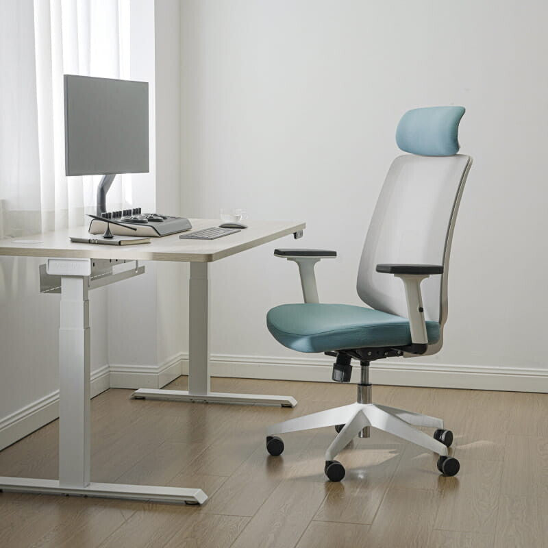 Ergonomic Chair with Lumbar Support