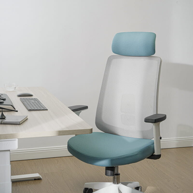 Ergonomic Chair with Lumbar Support