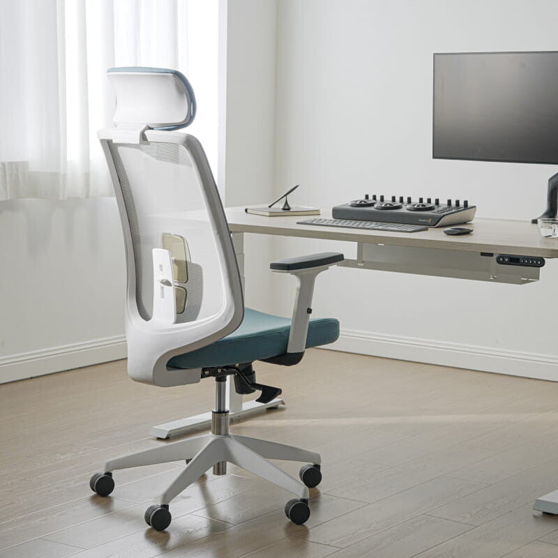Ergonomic Chair with Lumbar Support