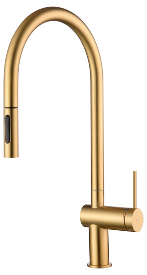 Berna Brushed Gold Kitchen Faucet Modern Design, view 2