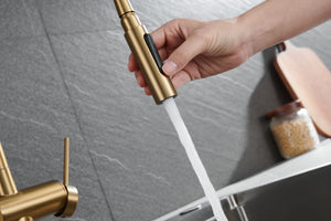 Berna Brushed Gold Kitchen Faucet Modern Design, view 6