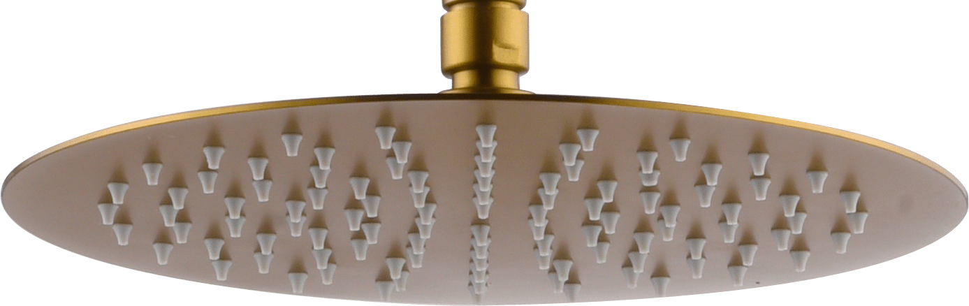 Shower Head Round Ø25 Brushed Gold | IMEX