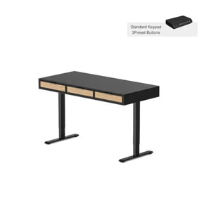 Rattan Soan Electric Standing Desk - 48’’ x 26’’ / White - Standing Desk