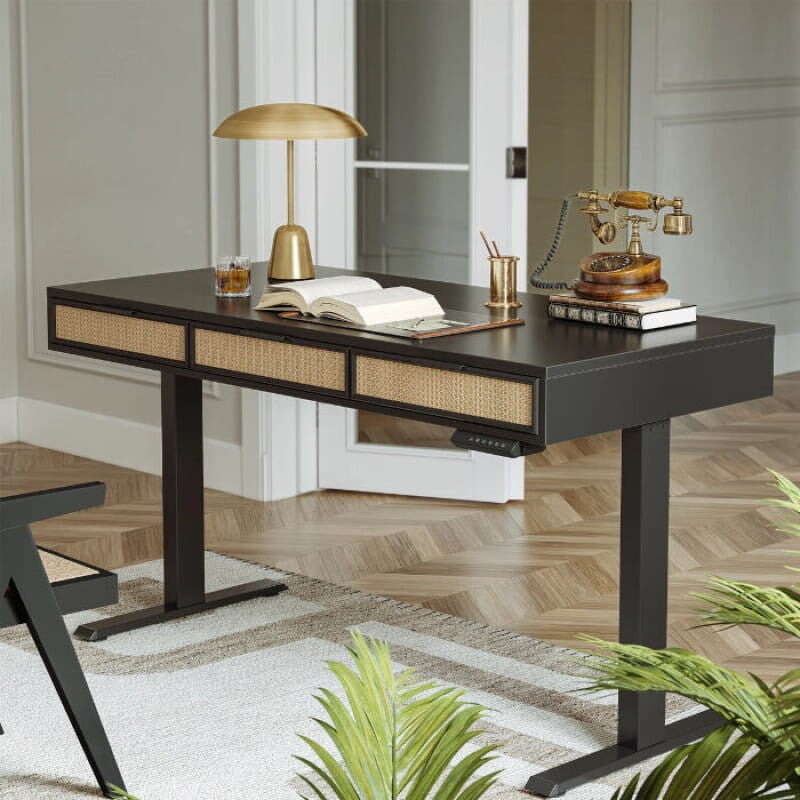 Rattan Soan Electric Standing Desk