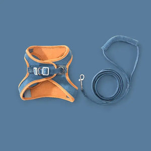 Harness and Leash Soft Padded Chest Strap Pet - Blue / S - Harness Pet