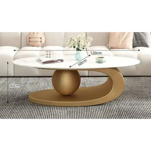 Modern Irregular Base Oval Side Coffee Table - Gold 120x60x42cm - Multifunctional coffee table