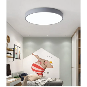Modern Minimalist LED Flush Mount Ceiling Lamp - Ceiling Lamp