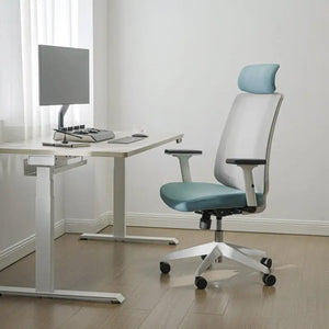 Ergonomic Chair with Lumbar Support - Cyan Blue - Ergonomic Chair