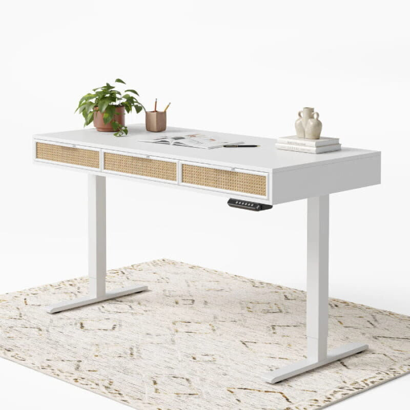 Rattan Soan Electric Standing Desk