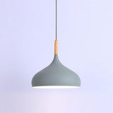 LED Colored Wooden Pendant Light  Lamp