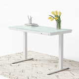 Elitras Tempered Writable Glass Standing Desk