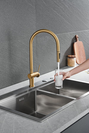 Berna Brushed Gold Kitchen Faucet Modern Design, view 4