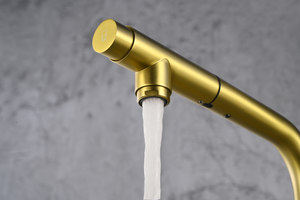 Brushed Gold Kitchen Faucet with Osmosis Water Filter, spray head detail