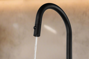 Lazio Matte Black Pull Out Kitchen Mixer with Reverse Osmosis Outlet, view 3