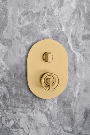 Vesuvius Built-in Single Handle Shower Set Brushed Gold, mixer detail