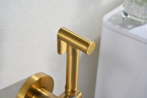 Bless Brushed Gold Concealed Bidet Mixer, view 5