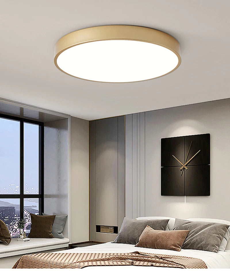 Modern Minimalist LED Flush Mount Ceiling Lamp