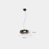 Nordic Glass LED Ceiling Chandelier Pendant Lights