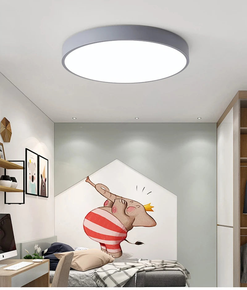 Modern Minimalist LED Flush Mount Ceiling Lamp