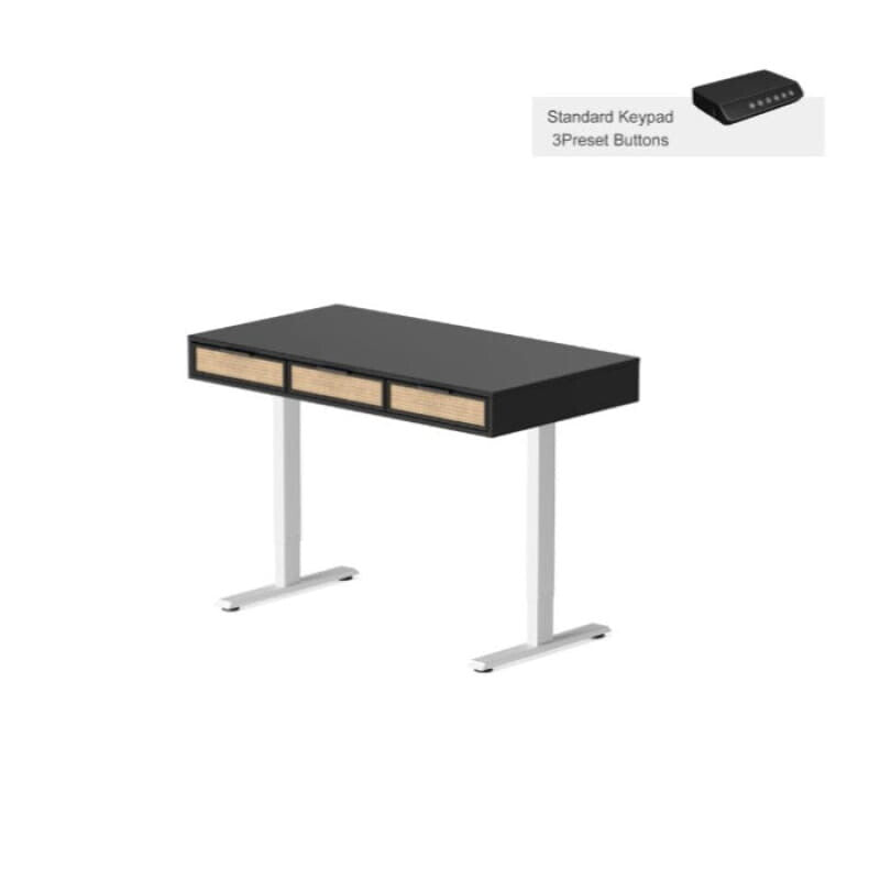 Rattan Soan Electric Standing Desk