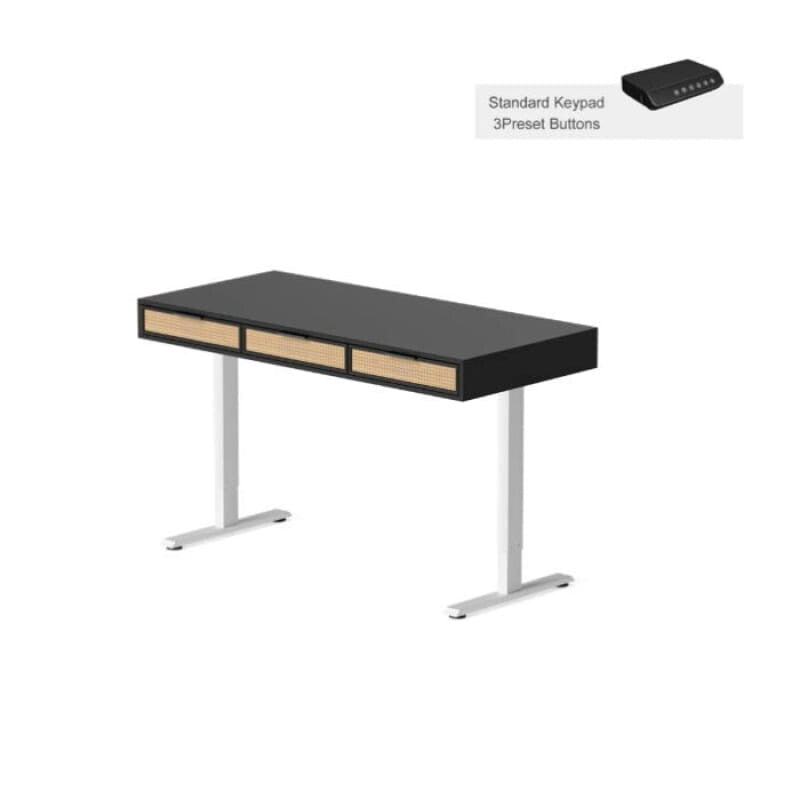 Rattan Soan Electric Standing Desk