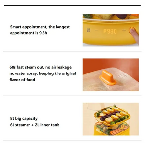 Dual Layer Electric Steamer 6-8L Capacity Auto Cook - view 4
