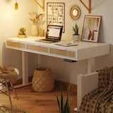 Rattan Soan Electric Standing Desk
