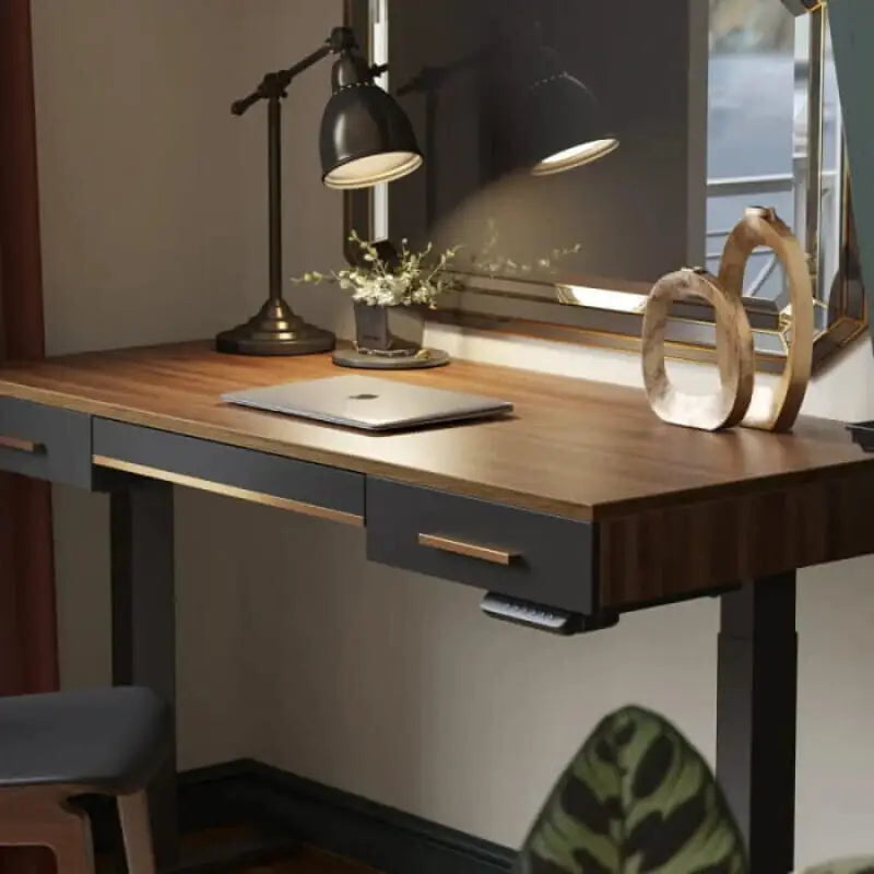 Century Modern Electric Standing Desk - Desk