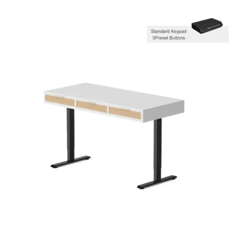 Rattan Soan Electric Standing Desk - 48’’ x 26’’ / White - Standing Desk