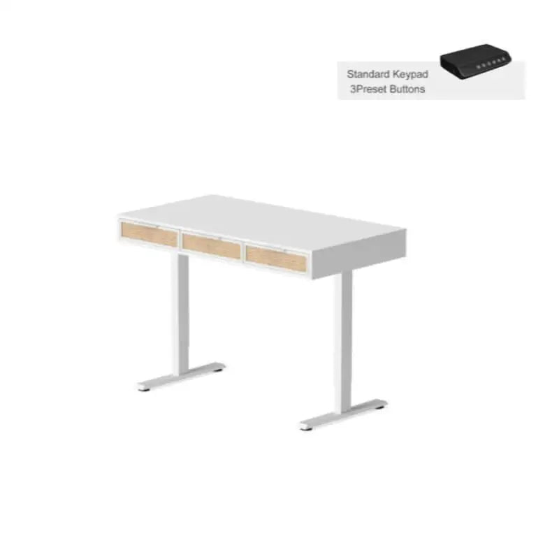 Rattan Soan Electric Standing Desk - 48’’ x 26’’ / White - Standing Desk