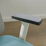 Ergonomic Chair with Lumbar Support - Cyan Blue - Ergonomic Chair