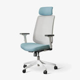 Ergonomic Chair with Lumbar Support - Cyan Blue - Ergonomic Chair
