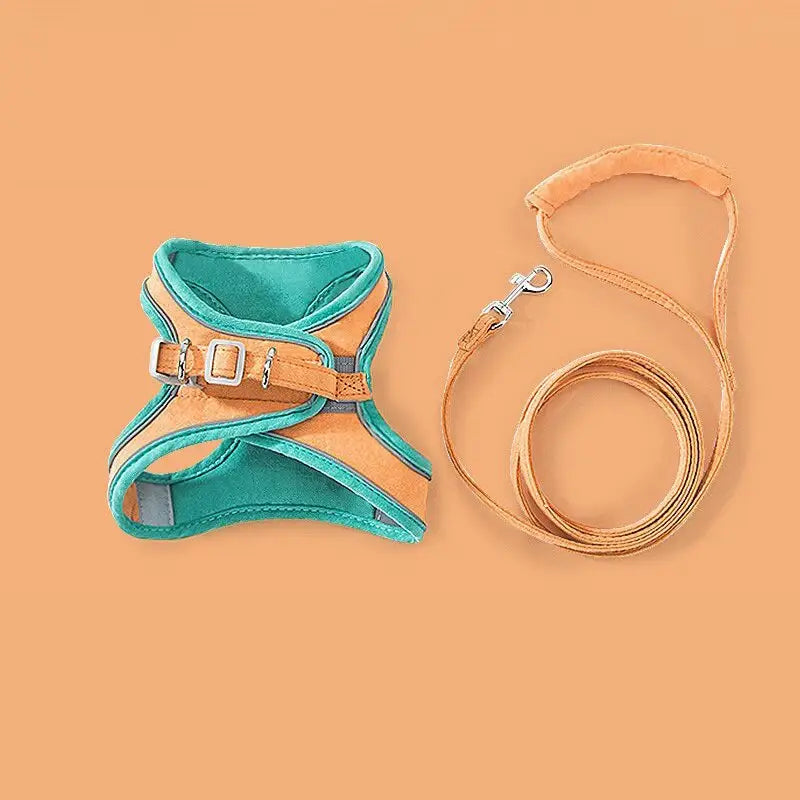 Harness and Leash Soft Padded Chest Strap Pet - Orange / S - Harness Pet