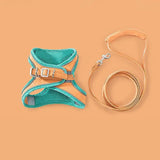 Harness and Leash Soft Padded Chest Strap Pet - Orange / S - Harness Pet