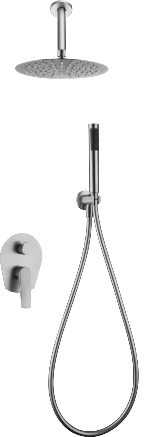 Conjunto Ducha Monomando Empotrado Paros Acero S316