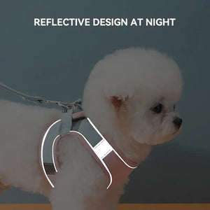 Harness and Leash Soft Padded Chest Strap Pet - Harness Pet