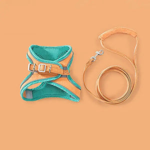 Harness and Leash Soft Padded Chest Strap Pet - Orange / S - Harness Pet