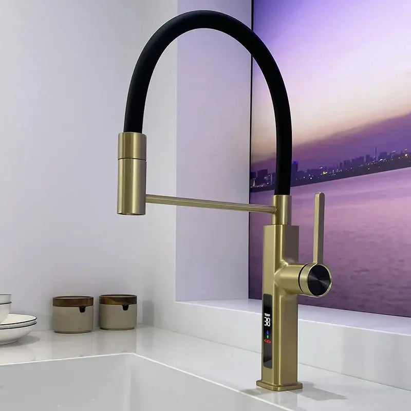 LED Panel Deck Mounted Flexible Hose Sink Kitchen Faucet - Black Gold - LED / G1/2 - Kitchen Faucets