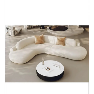 Modern Minimalist Curved Coffee Table Sofa Set - 160x240x70cm - Compressed Sofa