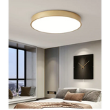 Modern Minimalist LED Flush Mount Ceiling Lamp - Ceiling Lamp