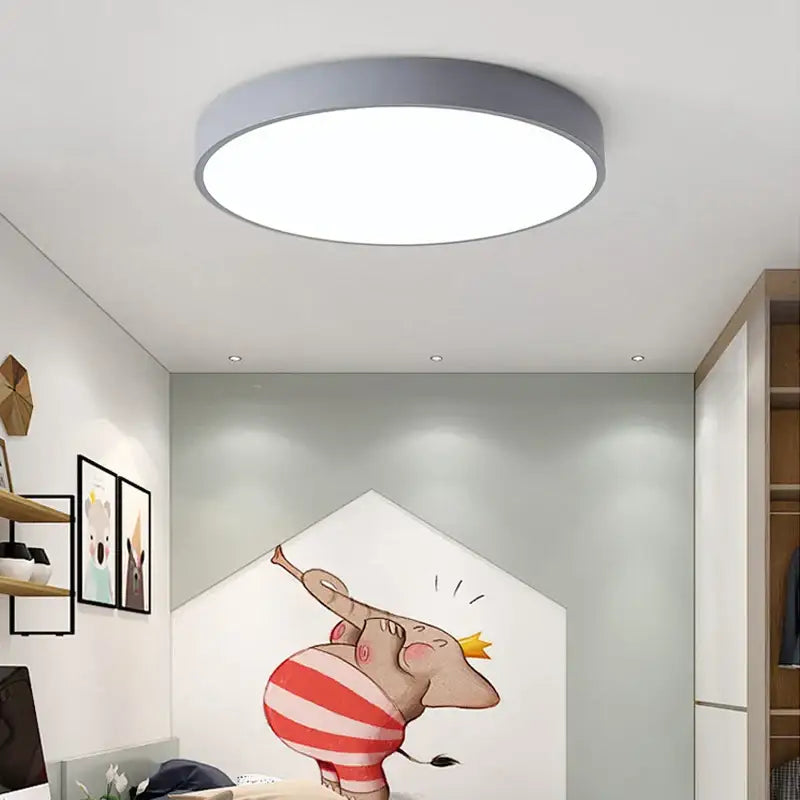 Modern Minimalist LED Flush Mount Ceiling Lamp - Grey / D23CM-12W / Neutral Light - 4000k - Ceiling Lamp