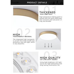 Modern Minimalist LED Flush Mount Ceiling Lamp - Ceiling Lamp