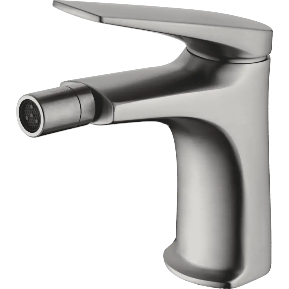 Delos S316 stainless steel single handle bidet mixer faucet chrome finish