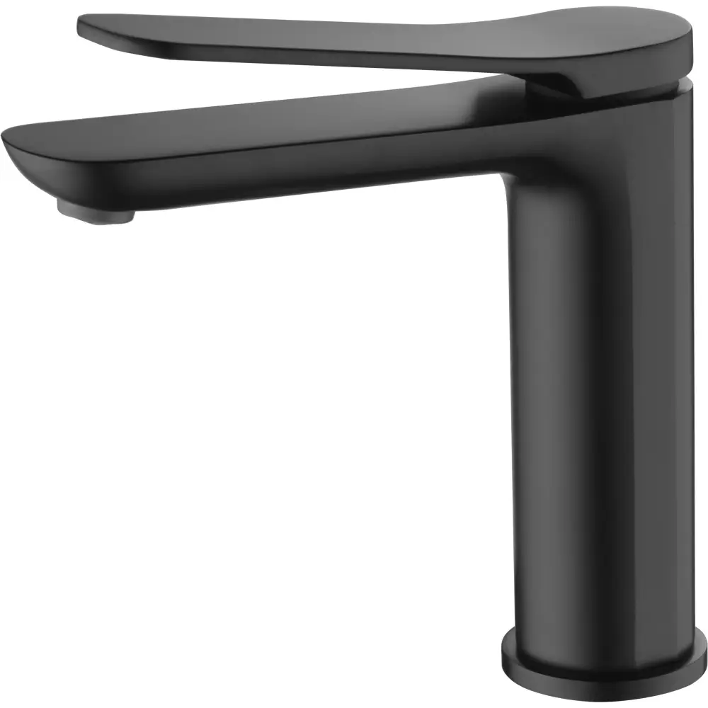 Matte black single lever modern basin faucet on white background