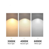 Nordic Modern Minimalist LED Pendant Lamp - Pendant Lamp