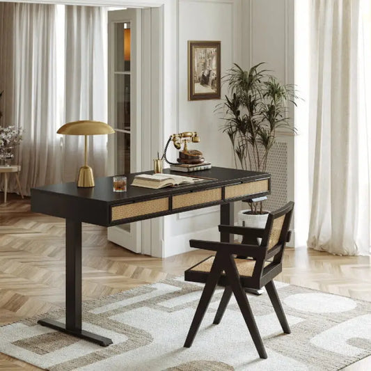 Rattan Soan Electric Standing Desk - 48’’ x 26’’ / White - Standing Desk