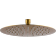Shower Head Round Ø20 Brushed Gold | IMEX - Bathroom Product