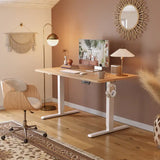 Solid Wood Standing Desk - 48’’ x 24’’ / Oak - Desk